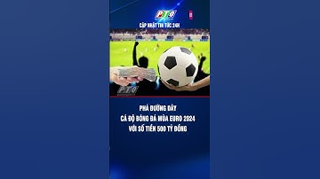 Phá đường dây cá độ bóng đá mùa Euro 2024 với số tiền 500 tỷ đồng | PTQ