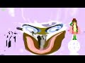 For @GAMZE9799_Alt's (Rematched/Effect) (Fixed) Klasky csupo In Real 4ormulator V95