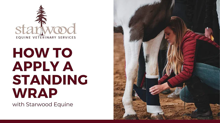 How To Apply A Standing Wrap On A Horse