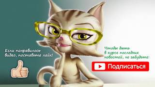 Видео ККТ не обязательно иметь в собственности (автор: Главбух ООО)
