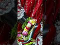 Tere charno se lipat jaate hai 🥰#trendingshorts #devotionalbhajan #explore #radheshyam #ytshorts