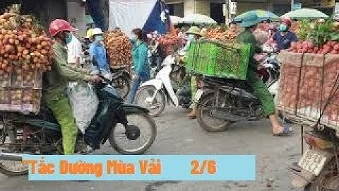 Tắc Đường Đặc Sản Mùa Bán Vải Thiều Lục Ngạn Bắt Đầu l Vải Thiều Bắc Giang