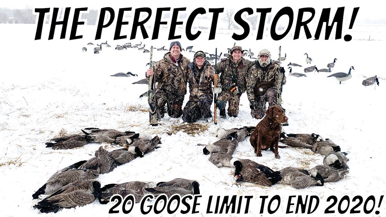 THE PERFECT STORM A 20 goose limit to end goose hunting 2020! YouTube