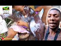 How To Remove The Queen Triggerfish Skin Prior To Cooking #Jamaica