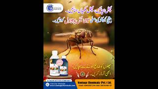 Fruit Fly Control by Vantage Chemicals | Protect Fruits &amp; Increase Yield
