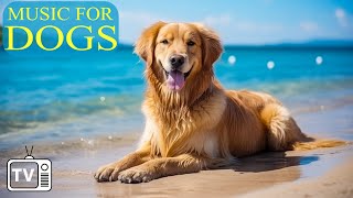 Dog Music & Dog TV: Cure Separation Anxiety with Dog Music & Dog calming music video  Dog Calm