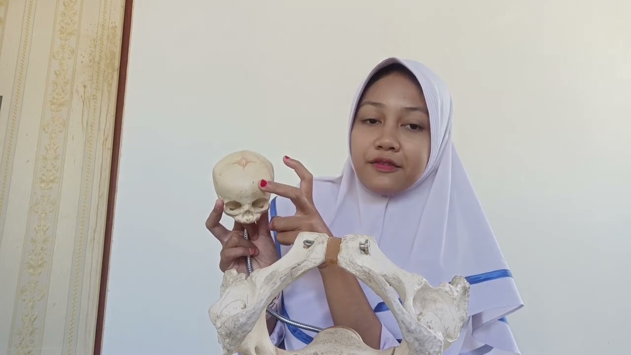 ANATOMI DAN UKURAN TENGKORAK KEPALA BAYI