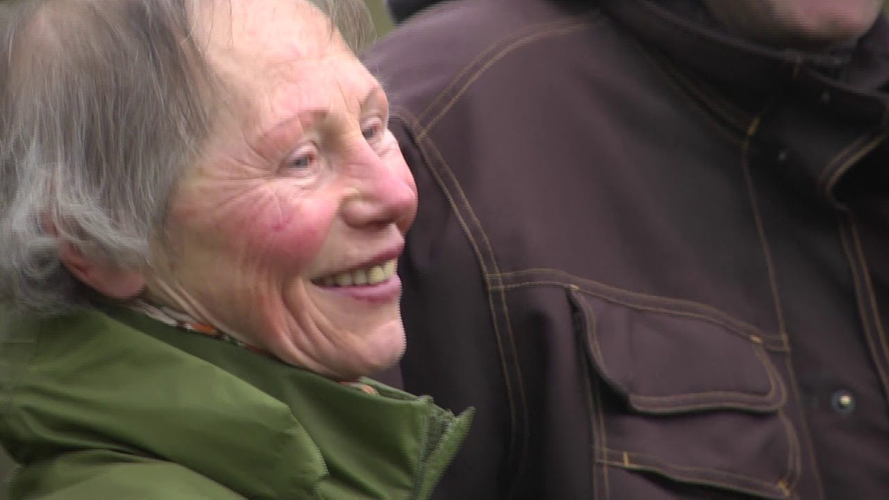 Neue Blutbuche im Schlossgarten