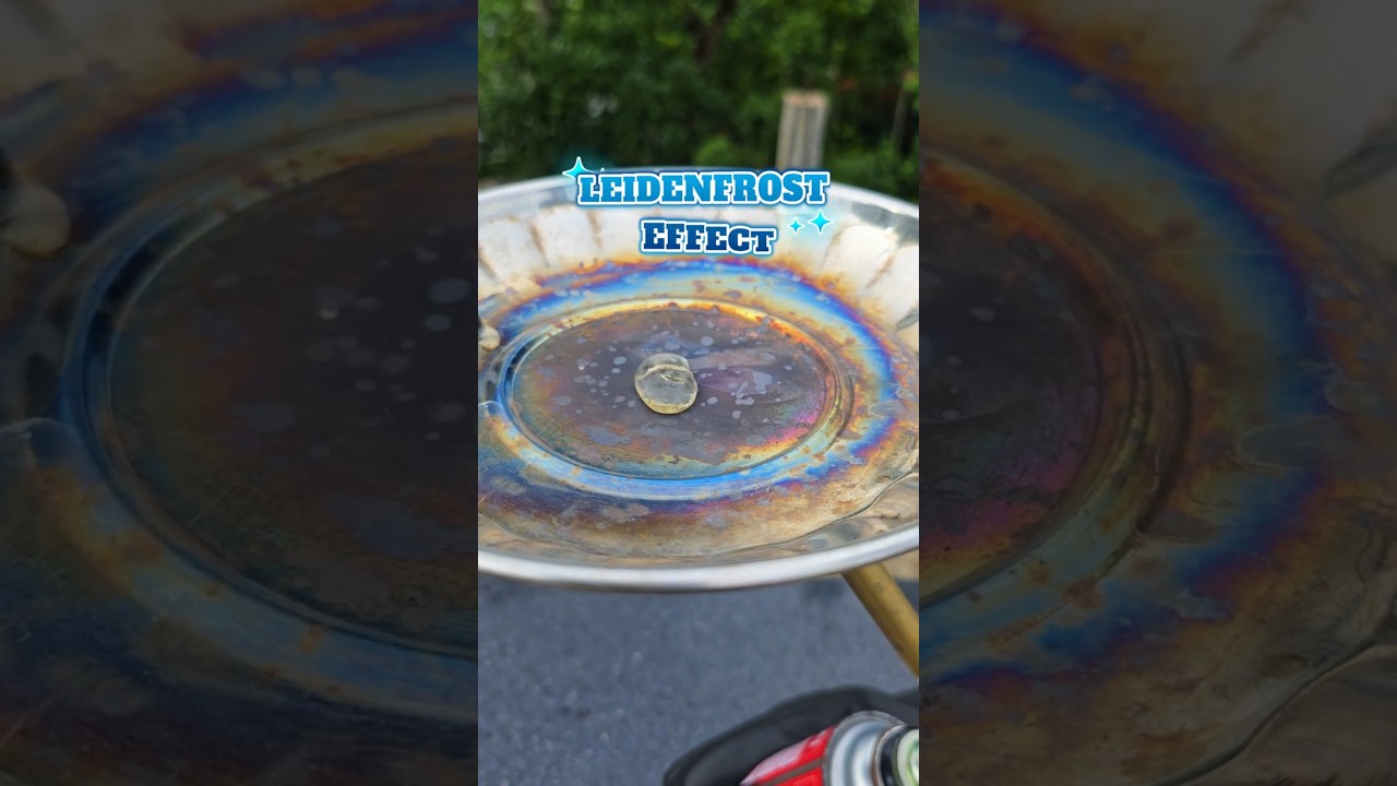 Leidenfrost Effect In Bangla | Shocking Result😱 