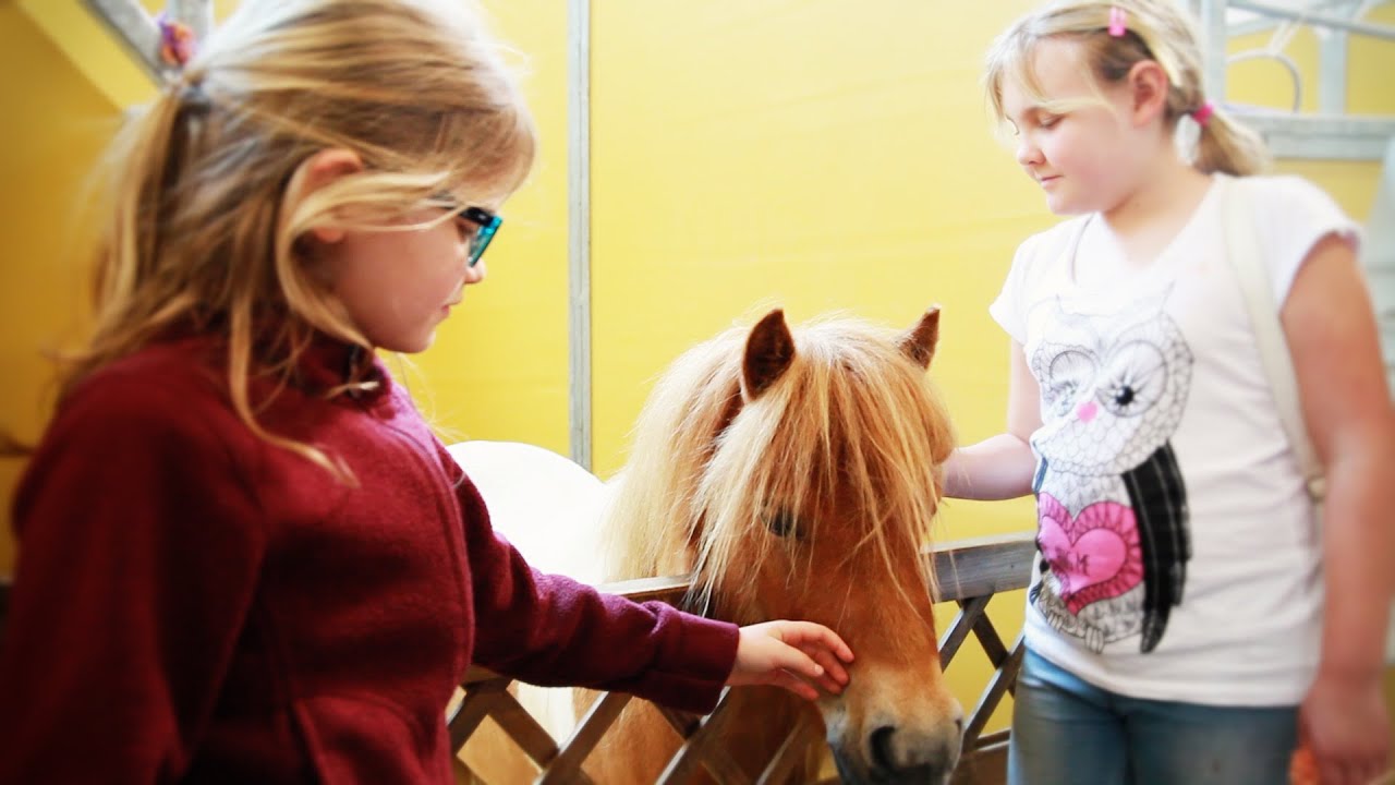 EQUESTRIAN WORLDWIDE-EQWO.net auf der Pferd Wels - FAMILY