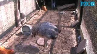 Vogelopvang De Mikke In Middelburg