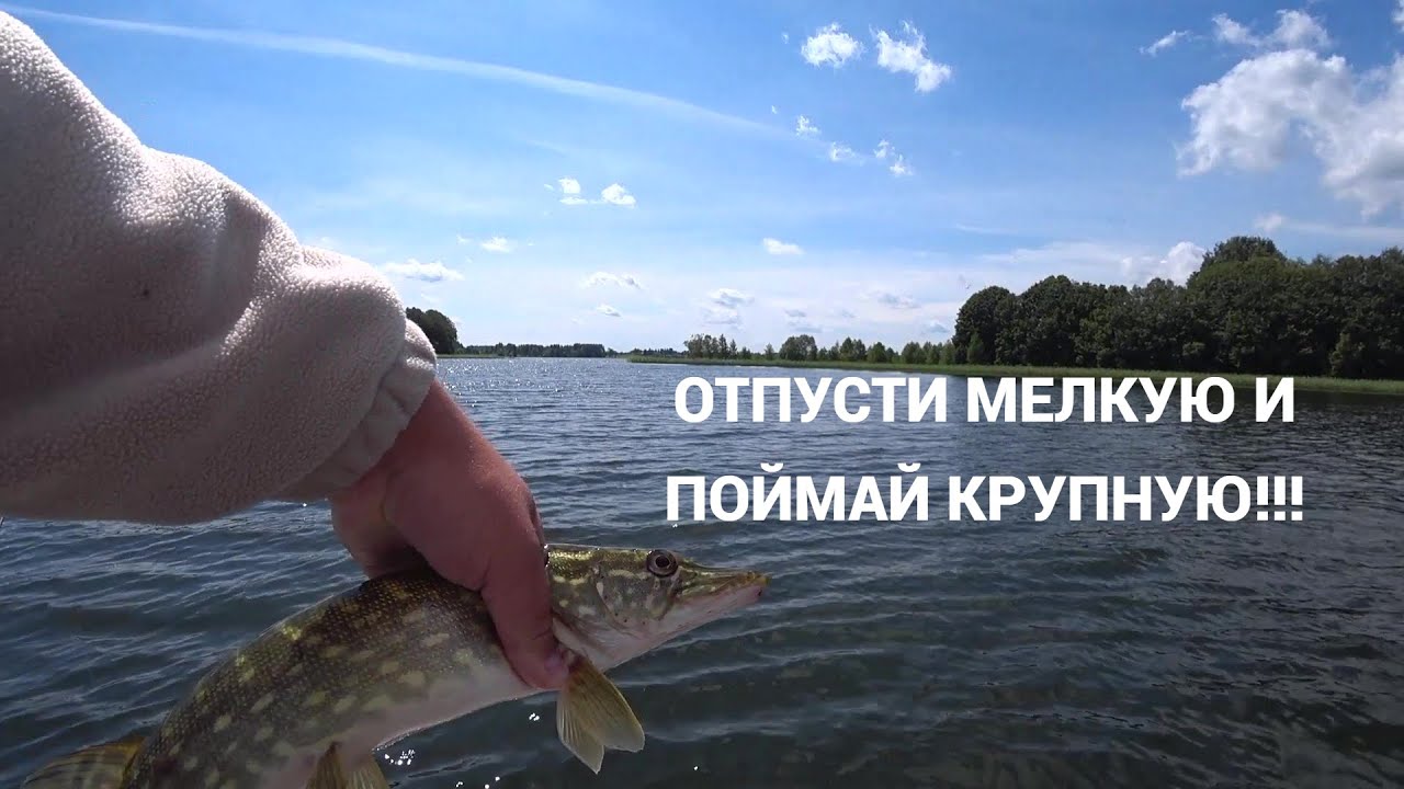 ЩУКА НА СПИННИНГ ! РЫБАЛКА-ПОЙМАЛ ОТПУСТИ!