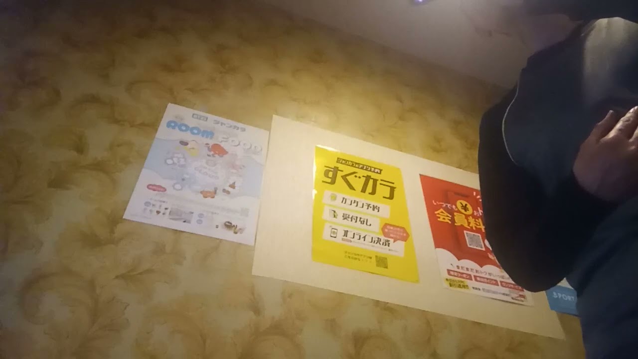 every little thing,every precious thing (LINDBERG) 4月24日 渡瀬マキさんが阪神DeNA戦の試合後に歌唱する予定も終了が遅くなったため幻になった曲