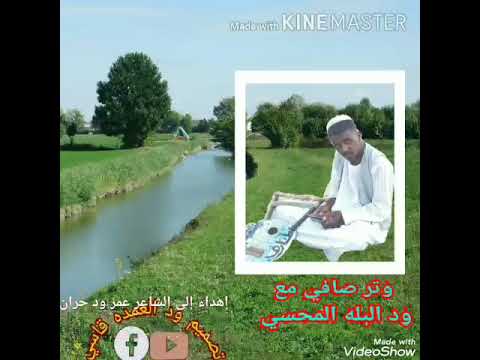 وتر صافي مع ود البله المحسي