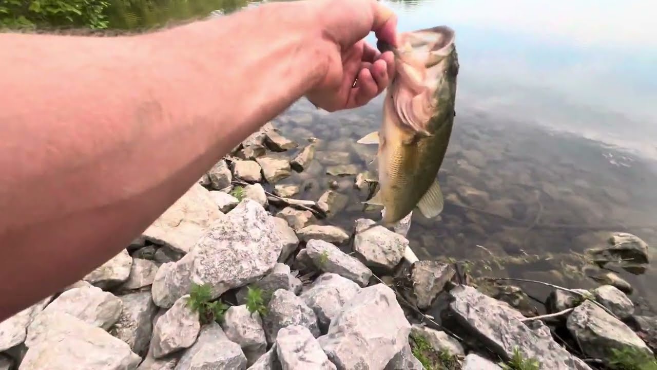 Banking for Bass - Part 5- Simple Baits Can Catch Bass