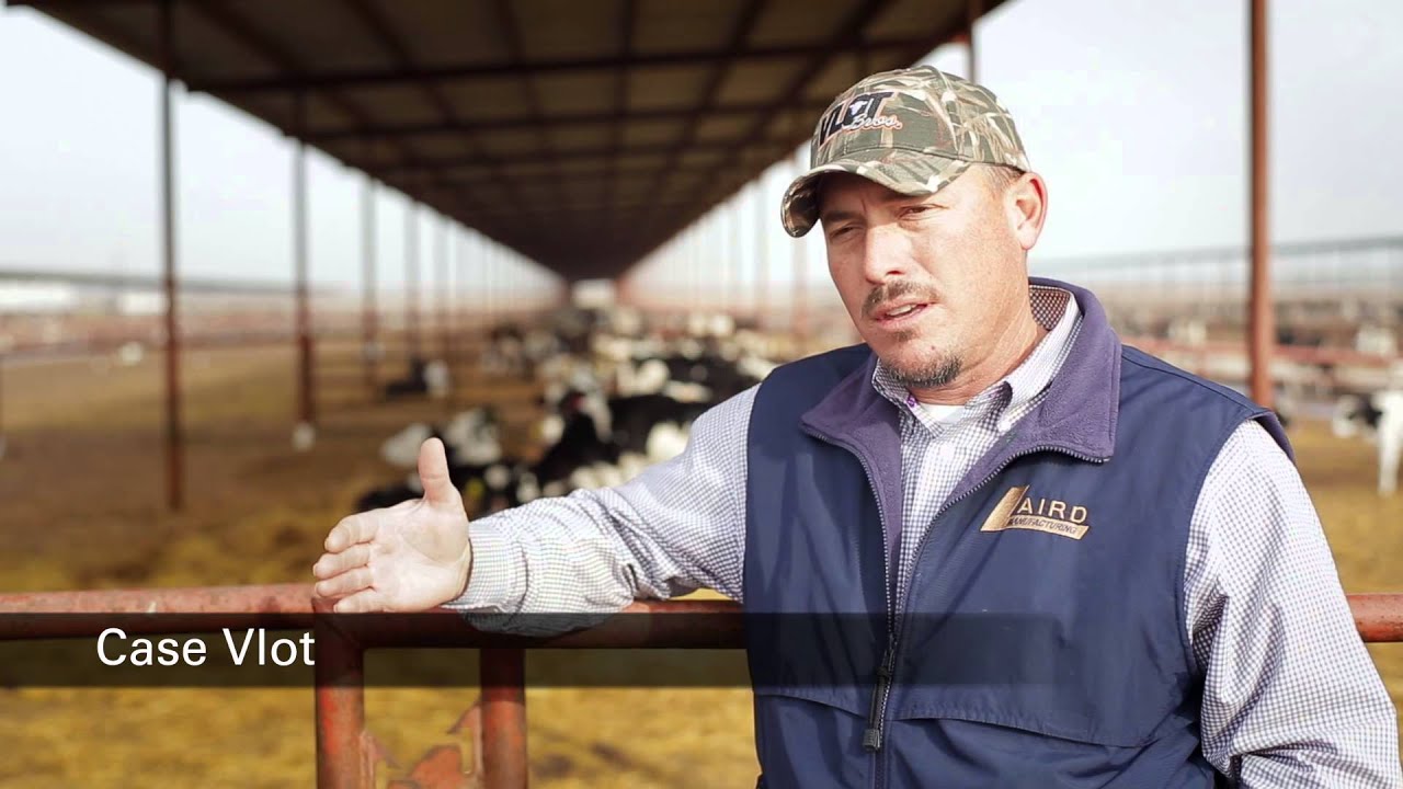 Vlot Brothers Dairy YouTube