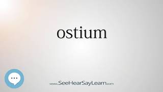 ostium - Smart & Obscure English Words Defined 👁️🔊🗣🧠✅
