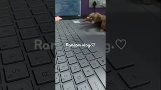 Random vlog ʕ´•ᴥ•`ʔ #study#calmvlog#studywithme#studyvlog#aestheticstudy#study#aesthetic