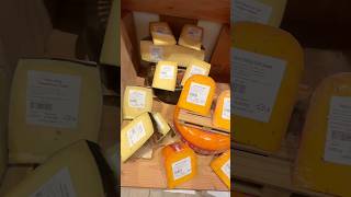 Say Cheese   #amsterdam Profile