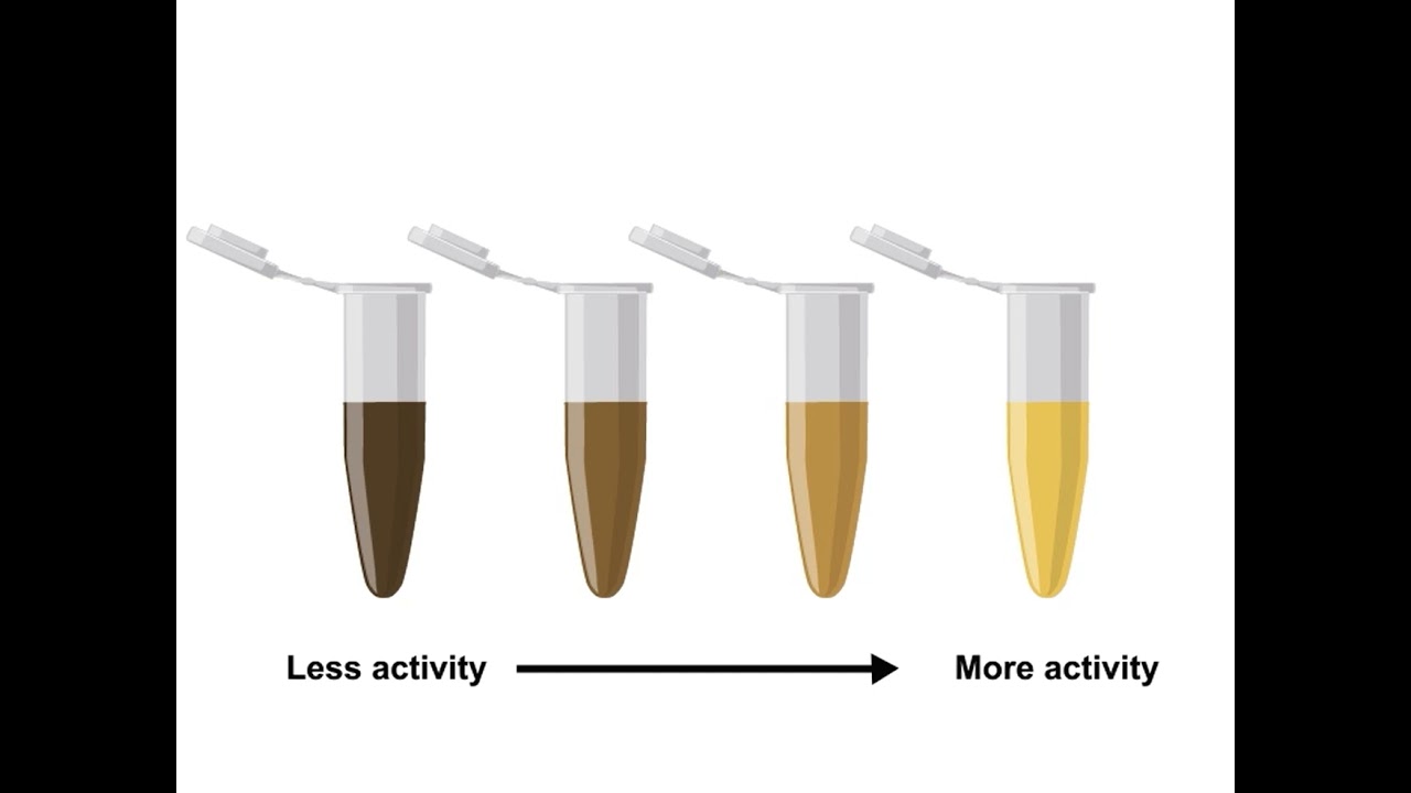 Enzyme Assays and YouTube