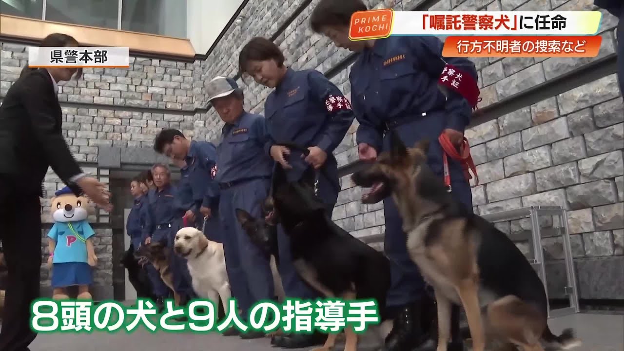 県警がシェパードなど「嘱託警察犬」に任命 行方不明者の発見に貢献