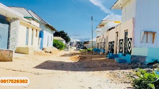 WAA GURI DHASAN IIB AH KUYAALO XAAFAD LAJECELYAHAY UNA DHAW  MASJIDKA  RAMADAN EE DEGAANKA CEELASHA