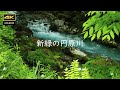 4K 新緑の季節 / 円原川の美しさに驚き 【3作品合併版】