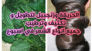 حصريا الحريقة و زنجبيل لشعر صحي قوي كثيف طويل ناعم في اسبوع