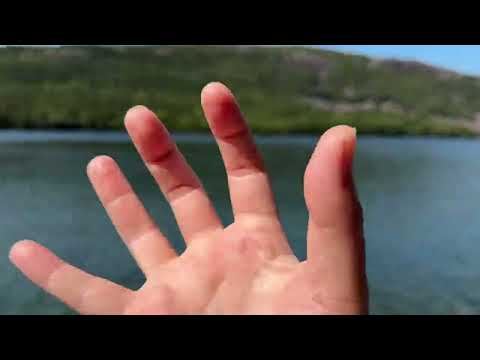 ASMR at Acadia National Park🌿