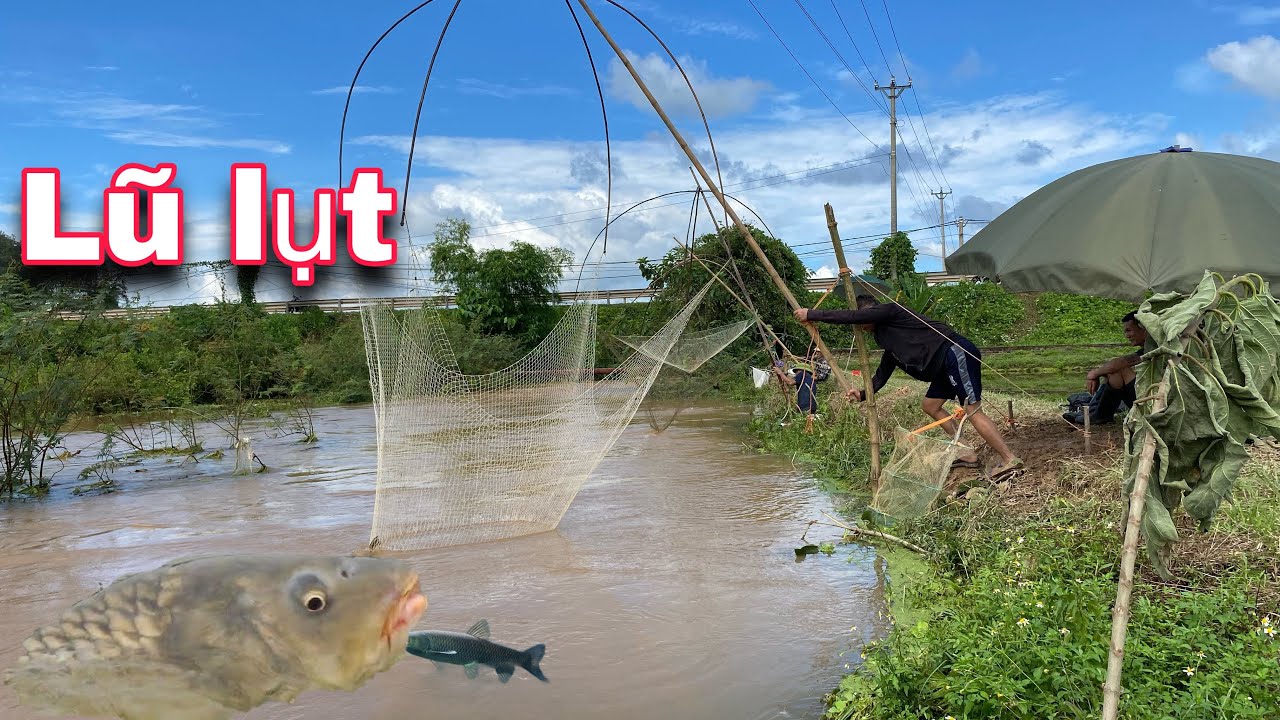 Người Dân Tranh Nhau Bắt Cá Sau Trận Lũ Lụt Lịch Sử Mẻ Lưới Bội Thu