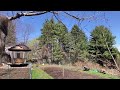 I Didn’t Understand My Father Until I Took Care of His Garden