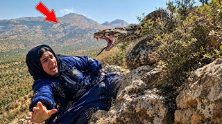 True Story: A Giant Venomous Snake Attacked a Mother — What Happened