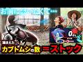 【スマブラSP】捕まえたカブトムシ×1ストックで金髪ブリを◯しますwww
