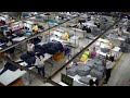 Golden greenglobal garment manufacturerusa guatemala korea