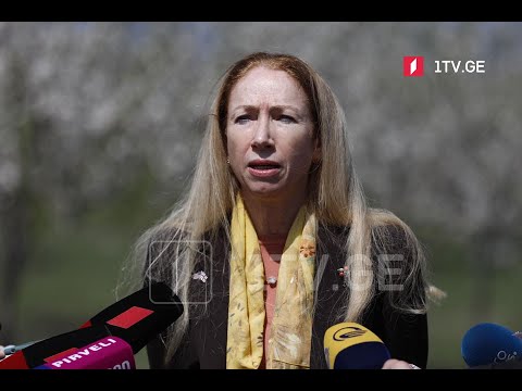 საქართველოში აშშ-ის ელჩის განცხადება