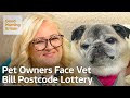Research Reveals Huge Price Differences for Vet Bills Across the Country