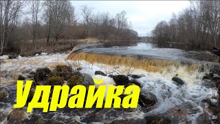 Река Удрайка, Батецкий район Новгородской области, 07.04.24