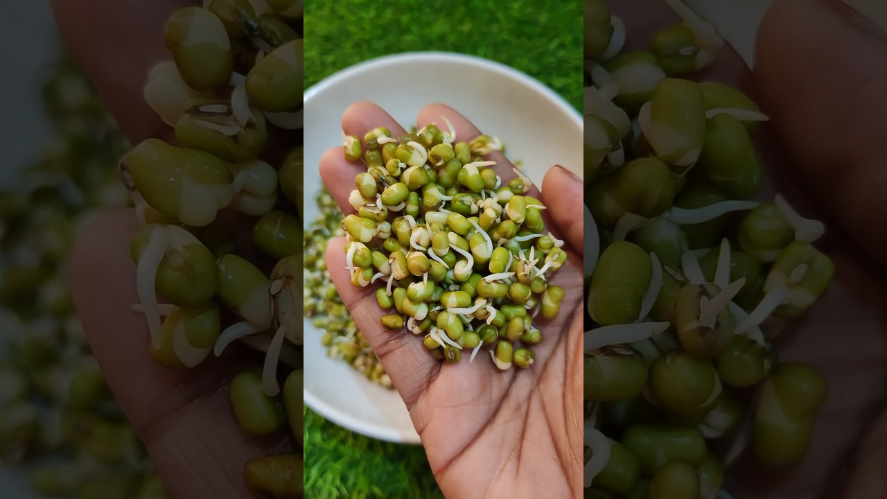 Mulaikattiya Pasi Payaru/Sprouted Green Gram Kulambu