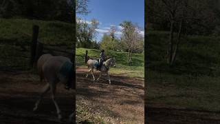 Trotting around the track! ￼ Make sure to go check out, Lucy, jumping bareback with koda￼