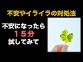 たった１５分でイライラ解消！科学的に証明された不安やイライラの解消法