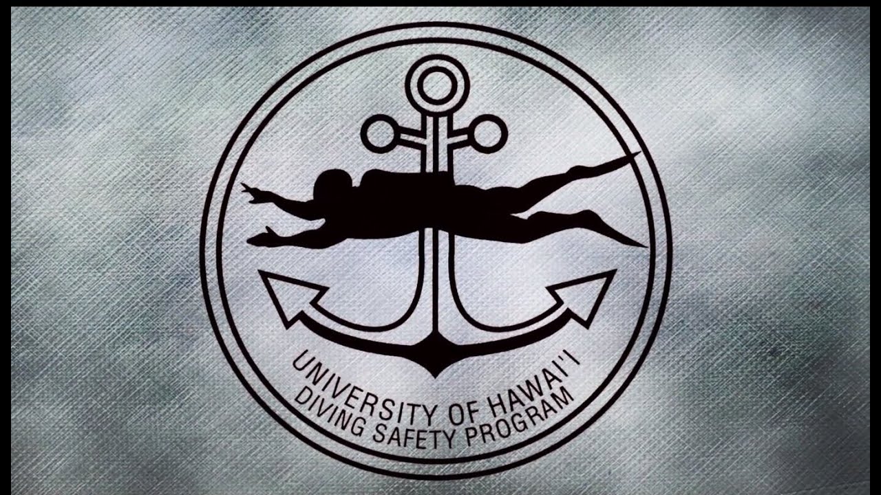 University of Hawaii Diving Program YouTube