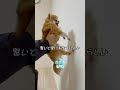 TikTok【100万回再生】賢いと壁に手をつくらしい…#shorts #TikTok