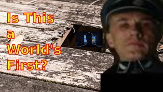 Getting a 2 Minute Speedrun in Frogger 2 Training Level While HANS LANDAS Inspects the House