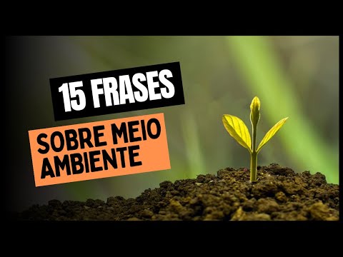 15 FRASES SOBRE MEIO AMBIENTE