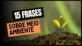 15 FRASES SOBRE MEIO AMBIENTE