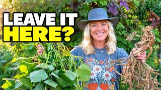 Compost or Chop and Drop? What I Actually Put on My Garden Beds in Fall