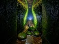 Alderfly Micro-Cam: Beneath the Forest Stream Rocks