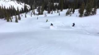 Kingfisher Heliskiing