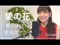愛の花 / あいみょん (Cover) 【佐合井マリ子さんとボイパ でコラボ】