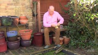 Organ Donation - a Buckinghamshire Councillor's story